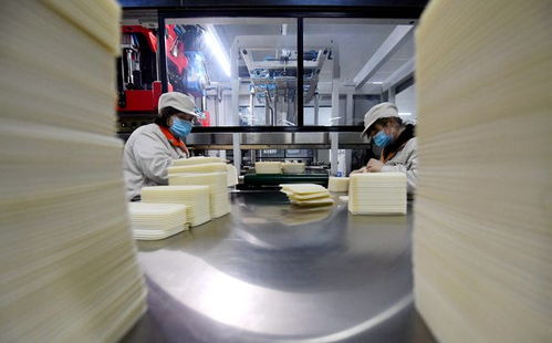河北武安 可降解环保材料制品生产忙